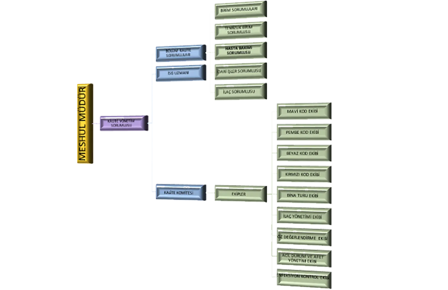 Kalite Organizasyon Şeması 